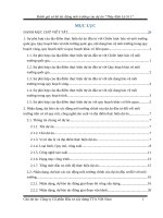 Đtm sơ bộ thủy Điện là si 1