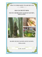 Thuyết minh dự Án Nhà máy chế biến măng tại huyện Nậm Nhùn, tỉnh Lai Châu