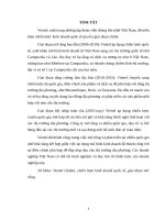 Tiểu luận KDQT – Phân tích chiến lược kinh doanh quốc tế của Viettel