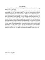 Đề Án kêu gọi đầu tư phát triển vùng nguyên liệu trồng măng tre