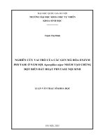 Nghiên cứu vai trò các gen mã hóa sinh enzym phytase Ở nấm sợi aspergillus niger nhằm tạo chủng bất hoạt phytase nội sinh