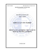 Khóa luận tốt nghiệp Luật học: Pháp luật lao động Việt Nam về bảo vệ người lao động