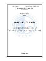 Khóa luận tốt nghiệp Luật học: Bảo đảm quyền của lao động nữ trong khu vực phi chính thức tại Việt Nam