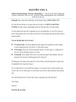 Mẫu Thư Xin Việc (Cover Letter) Hiện Đại - Ấn Tượng Nhất 2025 (File Word Dễ Sửa)