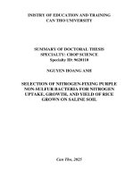 Tóm tắt  tiếng anh tuyển chọn vi khuẩn quang dưỡng không lưu huỳnh màu tía cố Định Đạm Đến hấp thu Đạm, sinh trưởng và năng suất lúa trên Đất nhiễm mặn