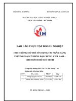 IUH - BCTT - HOẠT ĐỘNG MỞ THẺ TÍN DỤNG TẠI NGÂN HÀNG THƯƠNG MẠI CỔ PHẦN ĐẠI CHÚNG VIỆT NAM – CHI NHÁNH HỒ CHÍ MINH