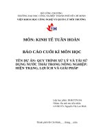 IUH - Kinh tế tuần hoàn - QUY TRÌNH XỬ LÝ VÀ TÁI SỬ DỤNG NƯỚC THẢI TRONG NÔNG NGHIỆP: HIỆN TRẠNG, LỢI ÍCH VÀ GIẢI PHÁP