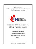IUH - TIỂU LUẬN VĂN HÓA ĐA QUỐC GIA - ĐỀ TÀI: VĂN HÓA BRAZIL