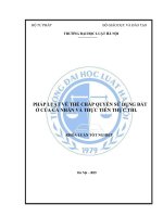 Khóa luận tốt nghiệp Luật học: Pháp luật về thế chấp quyền sử dụng đất ở của cá nhân và thực tiễn thực thi