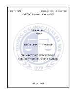 Khóa luận tốt nghiệp Luật học: Chấm dứt việc nuôi con nuôi theo Luật Nuôi con nuôi năm 2010