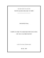 Nghiên cứu hiệu Ứng nhiệt Điện trên màng mỏng gốc telua tại nhiệt Độ thấp