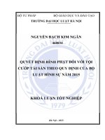 Khóa luận tốt nghiệp Luật học: Quyết định hình phạt đối với tội cướp tài sản theo quy định của Bộ luật Hình sự năm 2015
