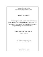 Luận văn pháp luật về kiểm soát hợp Đồng theo mẫu trong các giao dịch giữa tổ chức, cá nhân kinh doanh với người tiêu dùng qua thực tiễn tại tỉnh bình dương