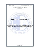 Khóa luận tốt nghiệp Luật học: Trách nhiệm bồi thường thiệt hại do vi phạm quyền lợi của người tiêu dùng