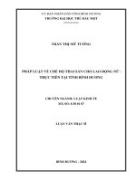 Luận văn pháp luật về chế Độ thai sản cho lao Động nữ   thực tiễn tại tỉnh bình dương