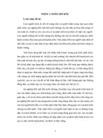 Tiểu luận - Phát triển con người Việt Nam hiện nay với sự nghiệp đổi mới đất nước