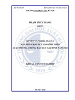 Khóa luận tốt nghiệp Luật học: Quyền và nghĩa vụ của nạn nhân bạo lực gia đình theo Luật Phòng, chống bạo lực gia đình năm 2022