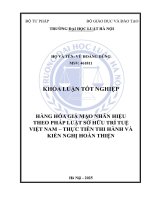 Khóa luận tốt nghiệp Luật học: Hàng hoá giả mạo nhãn hiệu theo pháp luật sở hữu trí tuệ Việt Nam - Thực tiễn thi hành và kiến nghị hoàn thiện