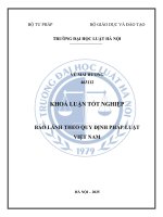 Khóa luận tốt nghiệp Luật học: Bảo lãnh theo quy định pháp luật Việt Nam