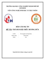 IUH - BÁO CÁO DỰ ÁN - TRÀ HOA ĐẬU BIẾC HƯƠNG DỨA