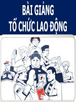 Bài Giảng -  Tổ Chức Lao Động ( combo full slides 4 chương )