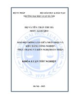 Khóa luận tốt nghiệp Luật học: Bảo hộ chồng lấn giữa nhãn hiệu và kiểu dáng công nghiệp - Thực trạng và kiến nghị hoàn thiện