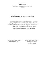 Đề tài nghiên cứu khoa học cấp Trường: Pháp luật Việt Nam về bảo hộ quyền của tổ chức phát sóng trong bối cảnh Việt Nam tham gia các hiệp định thương mại tự do thế hệ mới (Phần 1)
