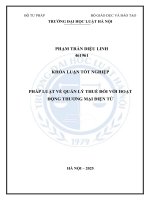 Khóa luận tốt nghiệp Luật học: Pháp luật về quản lý thuế đối với hoạt động thương mại điện tử