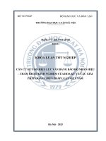 Khóa luận tốt nghiệp Luật học: Căn cứ huỷ bỏ hiệu lực văn bằng bảo hộ nhãn hiệu - Tham khảo kinh nghiệm của Hoa Kỳ và các giải pháp hoàn thiện pháp luật Việt Nam