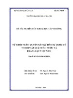 Đề tài nghiên cứu khoa học cấp Trường: Từ chối thẩm quyền xét xử dân sự quốc tế theo pháp luật các nước và pháp luật Việt Nam