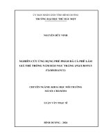 Luận văn nghiên cứu Ứng dụng phế phẩm bã cà phê làm giá thể trồng nấm bào ngư trắng (pleurotus florodanus)