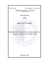 Khóa luận tốt nghiệp Luật học: Nuôi con nuôi có yếu tố nước ngoài tại Việt Nam - Một số vấn đề lý luận và thực tiễn