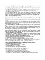 ĐỀ CƯƠNG ÔN THI TỰ LUẬN MÔN LỊCH SỬ ĐẢNG CỘNG SẢN VIỆT NAM