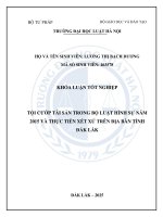 Khóa luận tốt nghiệp Luật học: Tội cướp tài sản trong Bộ luật Hình sự năm 2015 và thực tiễn xét xử trên địa bàn tỉnh Đắk Lắk