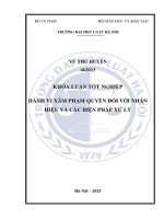 Khóa luận tốt nghiệp Luật học: Hành vi xâm phạm quyền đối với nhãn hiệu và các biện pháp xử lý