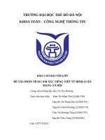 Báo cáo bài tập lớn Đề tài phân tích cảm xúc tiếng việt từ bình luận mạng xã hội