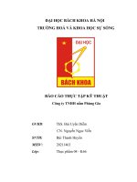 Báo cáo thực tập kỹ thuật công ty tnhh nấm phùng gia