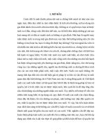 Tiểu luận hôn nhân và gia đình – Nuôi con theo quy định của pháp luật và thực tiễn áp dụng tại Việt Nam