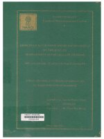 000091322 EFFECTS OF ACCOUNTING INFORMATION SYSTEM ON THE ROLE OF MANAGEMENT ACCOUNTANT IN VIETNAM THE CASE OF SMES IN ARTS AND CRAFTS INDUSTRY ẢNH HƯỞNG CỦA HỆ THỐNG THÔNG TIN KẾ TOÁN ĐẾN VAI TRÒ CỦA KẾ TOÁN VIÊN QUẢN LÝ TẠI VIỆT NAM TRƯỜNG HỢP CỦA CÁC D