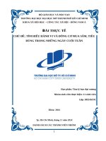 Chủ Đề tìm hiểu hành vi và Đông cơ mua sắm, tiêu dùng trong những ngày cuối tuần