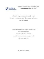 IUH - BCTT KINH DOANH QUỐC TẾ - CÔNG TY TNHH GIAO NHẬN VẬN TẢI BẦU TRỜI XANH