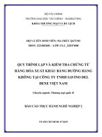 Quy trình lập và kiểm tra chứng từ hàng hóa xuất khẩu bằng Đường hàng không tại công ty tnhh savino del bene việt nam