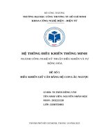 Đề số 5 Điều khiển giữ cân bằng hệ con lắc ngược