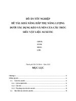 Đề tài khả năng hấp thụ năng lượng dưới tác dụng kéo và nén của cấu trúc siêu vật liệu auxetic