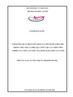 Tóm tắt Ảnh hƣởng quản trị nguồn nhân lực Đến hành vi Đổi mới trong công việc và hiệu quả công việc của nhân viên nghiên cứu vnpt cấp tỉnh vùng Đồng bằng sông cửu long