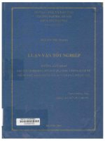 000085720 TESINA DE GRADUACIÓN ALGUNOS TIEMPOS VERBALES DE PASADO Y SUS DIFICULTADES EN LABOR DE TRADUCCIÓN DEL VIETNAMITA AL ESPAÑOL Y VICEVERSA