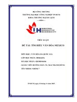 IUH - TÌM HIỂU VĂN HÓA MEXICO
