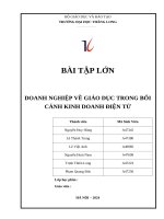 Bài tập lớn doanh nghiệp về giáo dục trong bối cảnh kinh doanh Điện tử