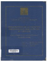 000091335 CONSUMPTION OF ACCOUNTING PROFESSIONAL SKILLS IN SME IN VIETNAM TIÊU THỤ KỸ NĂNG NGHỀ NGHIỆP KẾ TOÁN TRONG CÁC DOANH NGHIỆP VỪA VÀ VỪA Ở VIỆT NAM