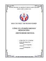 Báo cáo thực tập doanh nghiệp công ty cổ phần moveo bình dương (mitsubishi moveo)
